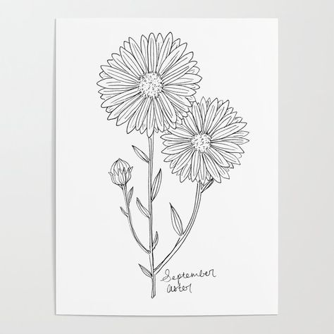 September Flower Tattoo, September Birth Flower Aster, Flower Tattoo Black And White, Flower Tattoo Black, Aster Tattoo, Aster Flower Tattoos, White Aster, September Flower, Floral Art Canvas