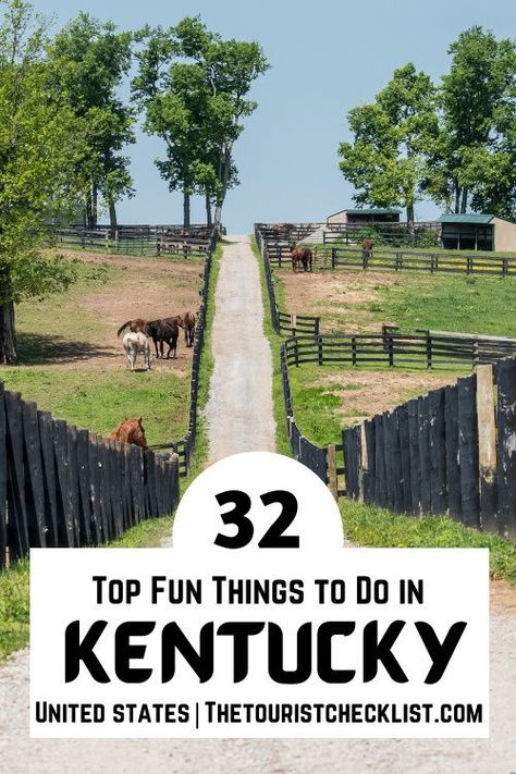 Dreaming about a family vacation to Kentucky and looking for things to do? Discover the most fun things to do in Kentucky - so you get memories that last a lifetime! #kentucky #kentuckythingstodo #kentucky #kentuckyactivities Kentucky Road Trip, Rogers Kentucky, Things To Do In Kentucky, Cadiz Kentucky, Travel Kentucky, Kentucky Tourism, Kentucky Attractions, Newport Aquarium, Kentucky Vacation