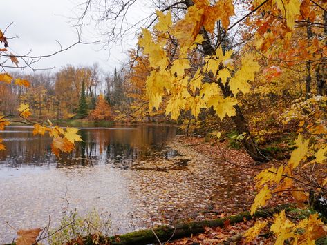 Northern Wisconsin, Wisconsin Travel, Lake Boat, Bike Path, Weekend Trip, Pine Forest, Nature Trail, Best Hikes, Gorgeous View