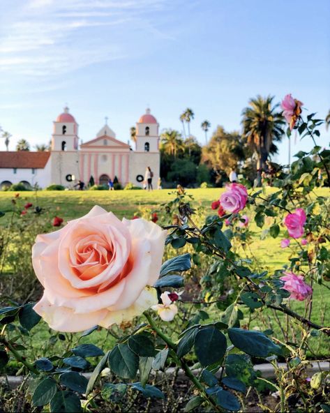 Rooms And Gardens Santa Barbara, Santa Barbara Mission Rose Garden Wedding, Santa Barbara Botanical Gardens, Rosewood Santa Barbara, Santa Barbara Botanic Garden, Country Vacation, Old Mission Santa Barbara, Engagement Pictures Beach, Santa Barbara Mission