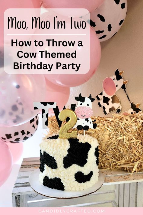 Cow cake for a cow themed birthday party. Two Year Old Cowgirl Party, Moo Two Birthday Party, Cow Birthday Treats, Oink Cluck Moo 2nd Birthday Cake, Second Birthday Farm Theme Girl, Cow Second Birthday Party Girl, 2nd Birthday Farm Theme Girl, Moo Moo I'm Two Birthday Cake, Cockadoodle Two Birthday