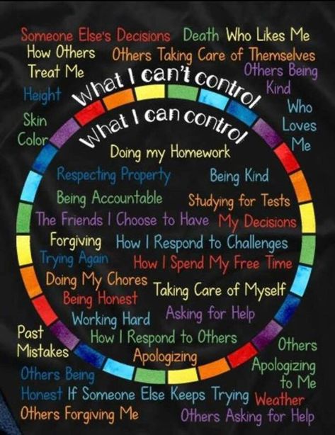 Graphic showing what we can and can’t control Uppfostra Barn, I Can Control, Education Positive, Parenting Skills, Social Emotional Learning, School Counseling, Coping Skills, Positive Parenting, A Circle