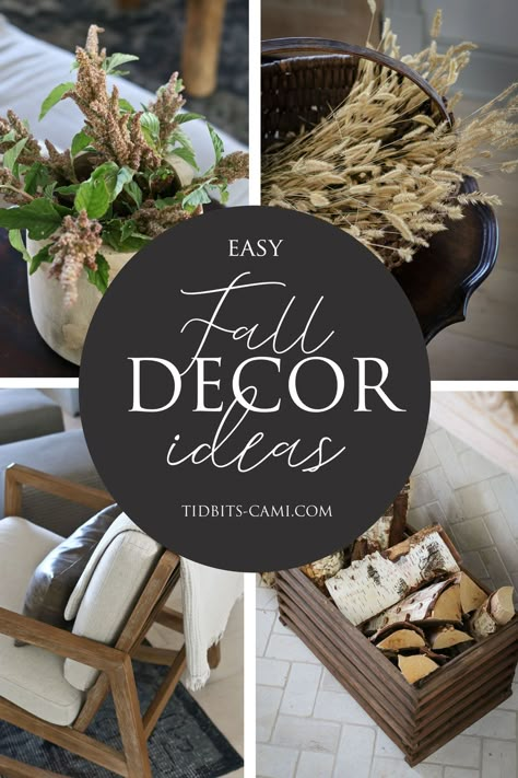 Room Fall Decor Ideas, Living Room Fall Decor Ideas, Early Fall Decor, Room Fall Decor, Autumn Photos, Cozy Up Your Home, Fall Mums, Easy Fall Decor, Fall Living Room Decor