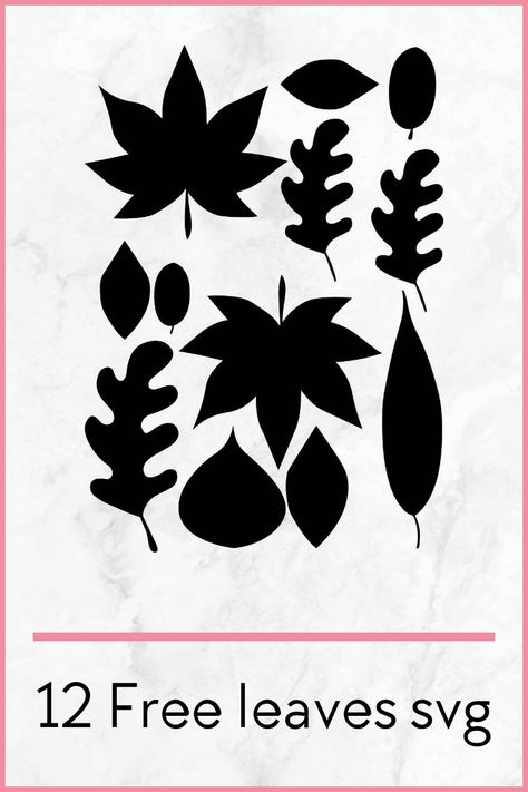 Leaves Silhouette Pattern, Cricut Leaf Template Free, Free Leaves Svg, Free Fall Leaves Svg Files For Cricut, Fall Leaves Svg Free, Free Leaf Svg, Leaf Svg Free, Cricut Leaves, Insect Study