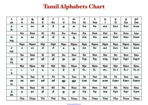 தமிழ் எழுத்துக்கள் 247 PDF | Tamil Alphabet Chart Tamil Letters Chart, Tamil Alphabet Chart, Tamil Alphabets, Brahmi Script, Tamil Letters, Dravidian Languages, Double Letters, Alphabet Chart, Bee Images