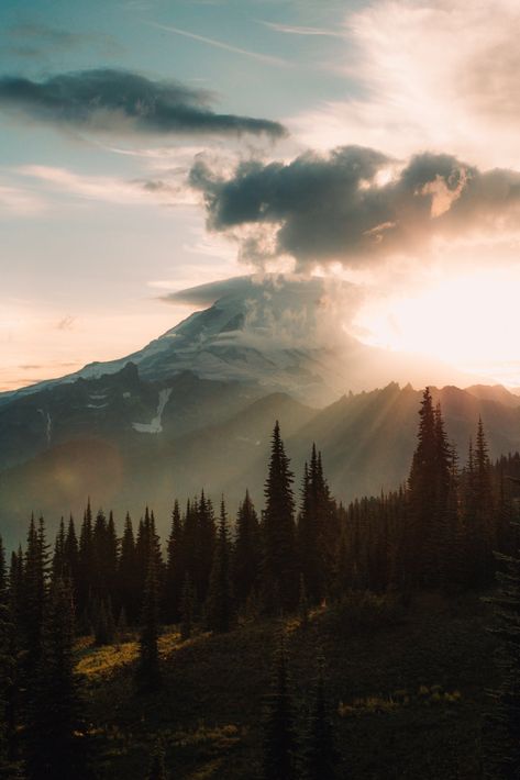 Rainy Photos, Washington Photography, Photos Black And White, Belle Nature, Landscape Photography Tips, Image Nature, Wall Art Nature, Mount Rainier National Park, Nature View