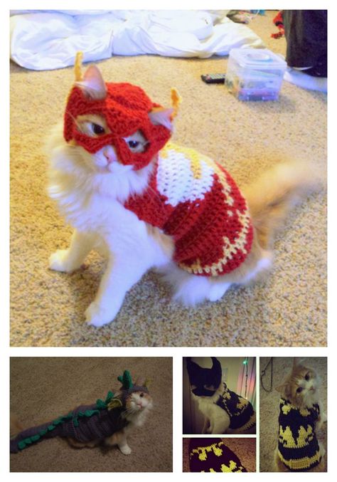 I Am The Flash Cat ... Check Out These Crochet Superhero Cosplays For Cats! Patterns & Tutorials Too!#cat #cats #cosplay #crochet Hat Patterns Crochet, Crochet Superhero, Cat Pattern Tutorial, Superhero Hats, Cat Hat Pattern, Crochet Cat Bed, Crazy Crochet, Superhero Crafts, Pet Sweaters