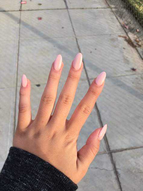 Pale Pink Acrylic Nails Almond, Matte Pink Nails Almond, Oval Baby Pink Nails, Baby Pink Almond Acrylic Nails, Almond Baby Pink Nails, Pastel Pink Almond Nails, Baby Pink Nails Almond, Glossy Pink Nails, Round Pink Nails