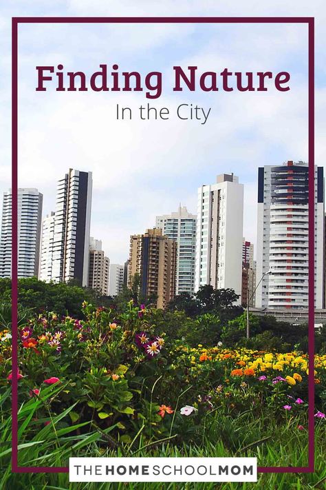 If you live in an urban area where nature is elusive, don’t assume that there’s no nature to be found! Here are some ways that city-dwelling families can get outside and find nature in their urban surroundings. Nature In The City, Homeschool Writing Prompts, Online Homeschool Curriculum, Conservation Activities, Journal Prompts For Kids, Alternative Education, Nature Education, Homeschool Writing, Identify Plant