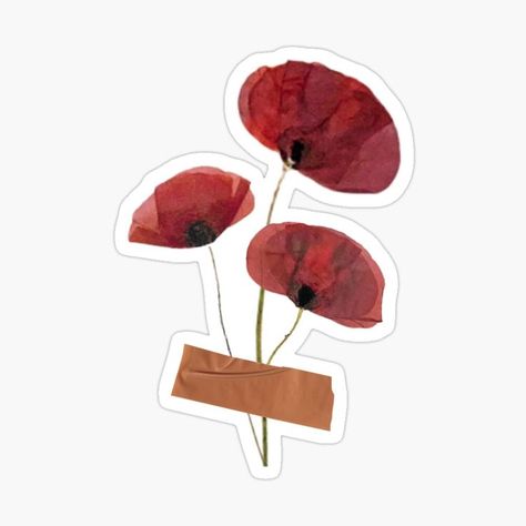 Follow the link in our bio to check out our other products. #vintage #aesthetic #driedflowers #floral #flower #herb #poppies #poppy #whitebackground #sticker #poppysticker #driedplant #poppy #tapedflower #pressedflower #redpoppies #driedredpoppies Poppy Flower Aesthetic, Poppy Sticker, Scrapbook Project, Poppy Bouquet, Journal Inspo, Redbubble Products, Phone Stuff, Bullet Journal Inspo, Poppy Flower