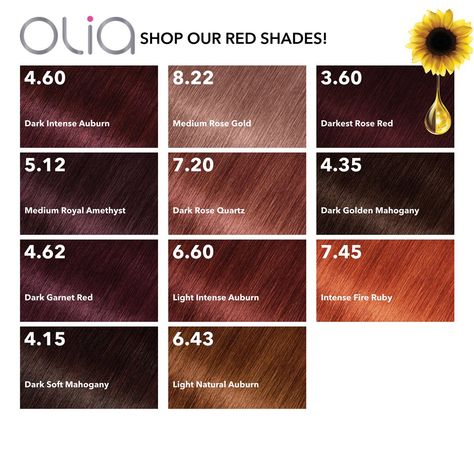 Garnier Olia Hair Color, Olia Hair Color, Medium Brunette Hair, Garnier Hair Color, Garnier Olia, Dark Garnet, Light Brunette, Dark Red Roses, Wine Hair