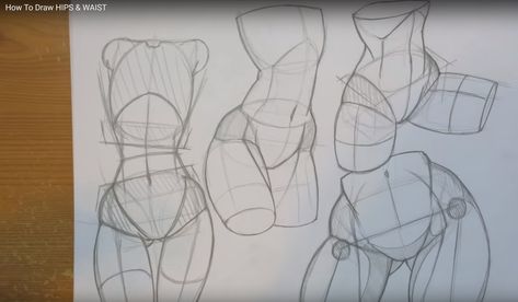 How to Draw Hips & Waist, by MikeyMegaMega on Youtube. Fantastic tutorial. Draw Hips, Drawing Body Proportions, Draw Easy, Anime Karakterek, Body Sketches, Body Drawing Tutorial, Human Figure Drawing, Siluete Umane, Anatomy Sketches