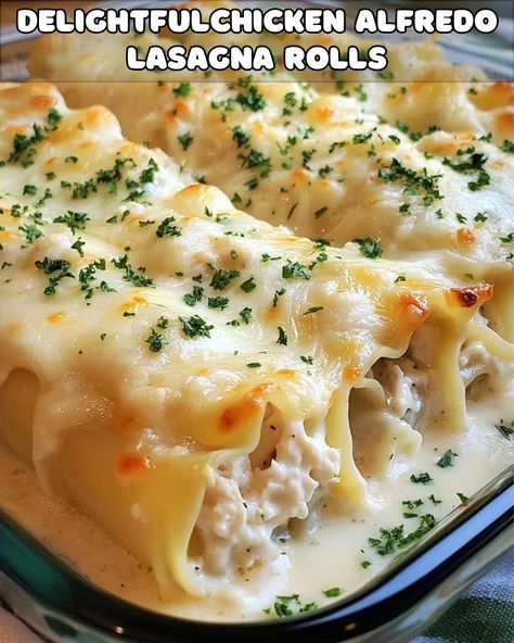 Delightful Chicken Alfredo Lasagna Rolls Chicken Alfredo Wraps, Alfredo Chicken Lasagna, Chicken Alfredo Roll Ups, Chicken Alfredo Lasagna Rolls, Alfredo Roll Ups, Alfredo Lasagna Rolls, Chicken Lasagna Roll Ups, Lasagna Chicken, Chicken Lasagna Rolls