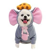 Hoodies Cute, Pet Costumes Cat, Puppy Jacket, Dog Winter Clothes, Dog Sweatshirt, Small Puppies, Halloween Animals, Winter Dog, Cat Costumes