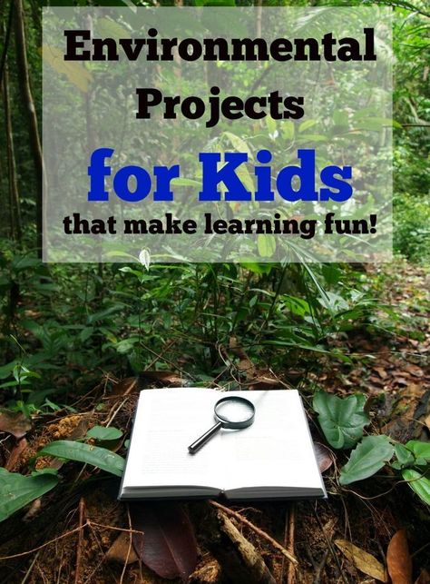 Environmental Projects for Kids that make learning fun! #ad #BarbarasBelieveinBetter Environmental Science Projects, Environmental Science Activities, Environment Activities, Environmental Projects, Environmental Activities, Conservation Activities, Environment Projects, Sustainability Projects, Homeschool Lesson Plans