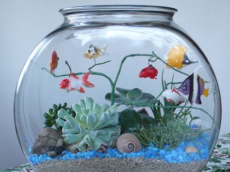 Fish Bowl. I have to do this...when I get plants and fake fish and pretty much everything. Easy Mermaid Drawing, Fake Fish Tank, Plants In Jars, Diy Fish Tank, Miniature Terrarium, College Room Decor, Faeries Gardens, Fish Supplies, Beach Diy