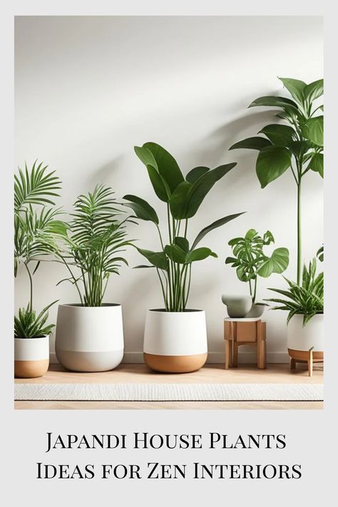 Discover Japandi house plants ideas that bring serene elegance to your space. Embrace minimalist greenery for a peaceful and stylish interior. Japandi Plants Living Room, Japandi Indoor Plants, House Plants Ideas, Japandi Color Palette, Zen Kitchen, Japandi House, Japandi Home Decor, Popular House Plants, Indoor Plants Styling