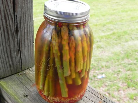 Quick-Pickled Spicy Asparagus Spicy Pickled Asparagus Recipe, Pickled Asparagus Recipe, Spicy Asparagus, Freezing Asparagus, Pickled Peaches, Pickled Asparagus, Pickled Garlic, Pickled Beets, Pickled Vegetables