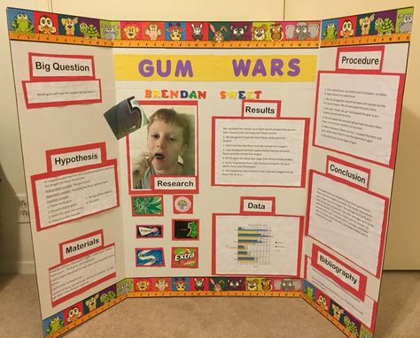 Science fair bulletin board which gum flavor last the longest Kids Science Fair Projects, Science Fair Board, Science Fair Projects Boards, Science Fair Project, Gum Flavors, Bubble Gum Flavor, 8th Grade Science, 4th Grade Science, 5th Grade Science