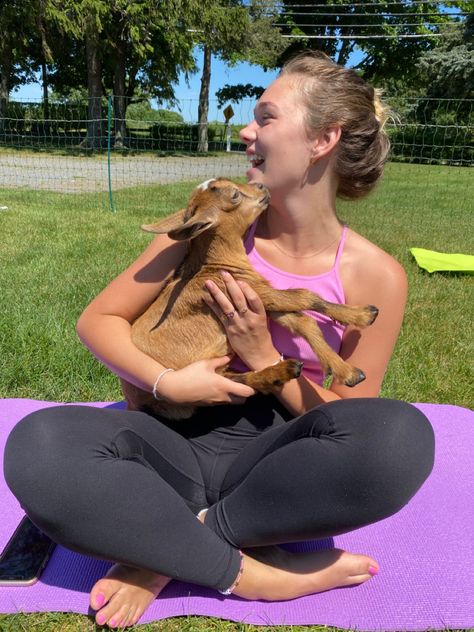 Goat Yoga Aesthetic, Sisterhood Events, Goat Yoga, Yoga Aesthetic, Vision Board Images, Yoga Pictures, Beach Pics, Inspo Pics, Baby Goats