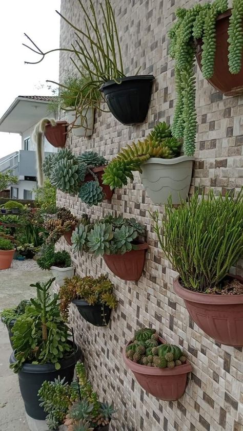 Overgrown Succulents, Room Plants Decor, Living Room Plants Decor, Succulent Wall Planter, Vertical Succulent Gardens, Plant Succulents, Garden Decoration Ideas, Porch Plants, Succulent Gardens