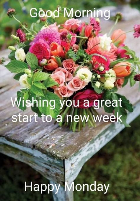 Monday Morning Greetings, Monday Morning Blessing, Monday Quote, Monday Greetings, Good Morning Animals, Monday Wishes, Happy Monday Quotes, Happy Monday Morning, Good Morning Dear Friend