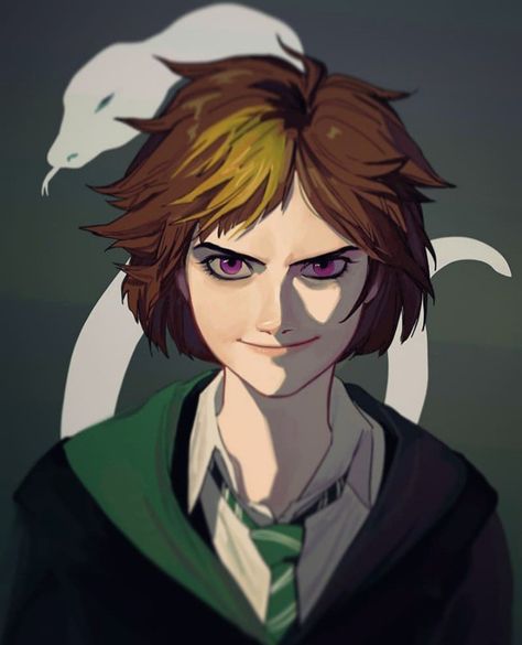 Slytherin Character Design, Harry Potter Oc Character, Harry Potter Oc Girl, Slytherin Oc, Hogwarts Oc, Merula Snyde, Pfp Cool, Hp Oc, Anime Matching Pfp Couple