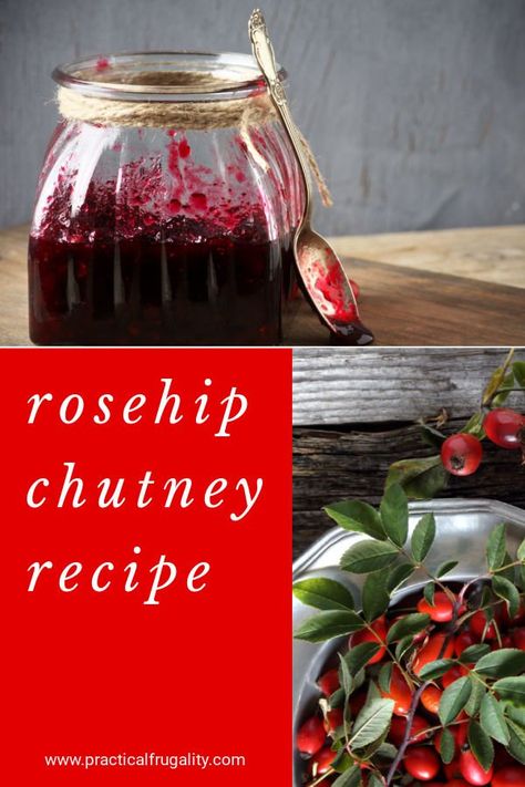 Rose Hip Chutney, Rosehip Crafts, Wild Apple Recipes, Autumn Foraging, Foraging Tips, Rosehip Recipes, Wild Food Foraging, Foraging Recipes, Jam Recipes Homemade