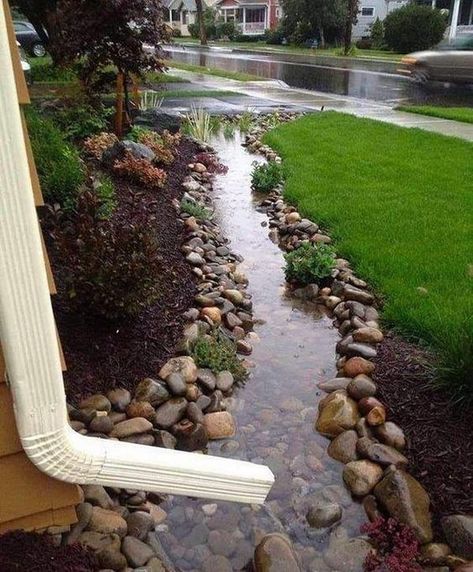 River Rock Landscaping, Easy Landscaping, Vertical Gardens, Dry Creek, Rain Garden, Creative Gardening, Charming Garden, Landscaping Tips, Diy Landscaping