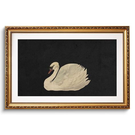 PRICES MAY VARY. VINTAGE SWAN OIL PAINTING: Elevate your living space with VIYYIEA swan art canvas wall decor. The swan is gracefully floating on a dark background that accentuates the purity and elegance. The frame around the swan wall art painting is ornate, with intricate gold detailing that adds a sense of grandeur and classic sophistication. The combination of the black and the luminous swan creates a striking contrast, highlighting the serene beauty of the bird, making it a timeless captiv Minimal Wall Decor Living Room, Gallery Wall With Candle Sconces, Black And White Bathroom Wall Art, Wall Decor Behind Bed, Small Animal Paintings, Art For Bathroom Walls, Blank Wall Decor, Art Above Toilet, Art In Bathroom