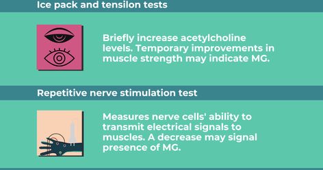 Myasthenia gravis: Diagnosis and testing – Myasthenia Gravis News Muscle Weakness And Fatigue, Neuromuscular Junction, Pulmonary Function Test, Disease Symptoms, Magnetic Resonance Imaging, Muscle Contraction, Muscle Weakness, Magnetic Resonance, Respiratory Health