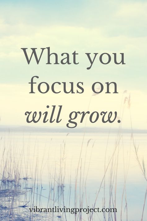 Die To Self, Focus Quotes, Motiverende Quotes, Focus On Me, Great Quotes, Focus On, Inspirational Words, Wise Words, Anger