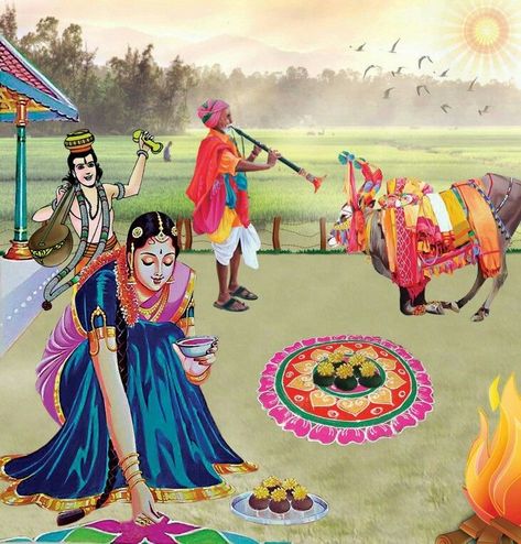 Pongal Festival Images, Pongal Greetings, Sankranthi Wishes, Sankranthi Festival, Pongal Festival, Happy Sankranti, Comedy Stories, Pongal Celebration, Festival Paint