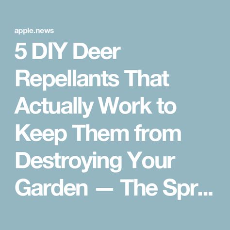 5 DIY Deer Repellants That Actually Work to Keep Them from Destroying Your Garden — The Spruce Natural Deer Repellant Plants, Attract Deer To Your Yard, How To Stop Deer From Eating Plants, Plants That Deter Deer, How To Keep Deer From Eating Plants, Deer Deterent, Deer Repellant, The Spruce, Deer Resistant Plants