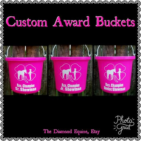 4h Leader Gifts, Livestock Show Awards Ideas, Horse Awards Ideas, Horse Show Prizes Ideas, Livestock Show Prizes, 4h Awards Ideas, Horse Show Awards Ideas, Cricut Horse Projects, Horse Show Prizes