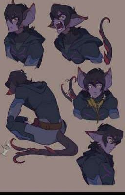 Blade Of Marmora, Voltron Galra, Voltron Funny, Klance Comics, Keith Kogane, Voltron Comics, Form Voltron, Voltron Ships, Voltron Fanart