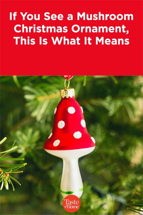 The Christmas mushroom could be your new good luck charm! Learn how this fungus made its way into Christmastime. Mushroom Christmas Tree Decoration, Clay Mushroom Ornament, Christmas Tree Mushrooms, Diy Funny Ornaments, Christmas Mushrooms Decoration, Mushroom Ornaments Diy, Diy Mushroom Ornaments, Mushroom Christmas Decor, Mushroom Decor Diy