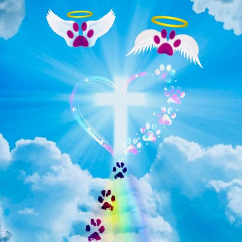 Dog Heaven Quotes, All Dogs Go To Heaven, Going To Heaven, Dogs Go To Heaven, Dog Poems, Bull Terrier Puppy, Heaven Quotes, Dog Heaven, Pet Remembrance