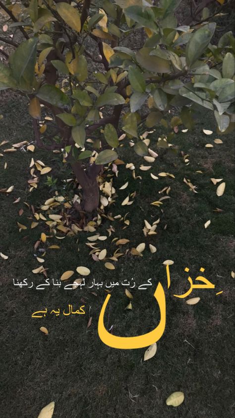 Aesthetic autumn vibes. Urdu poetry with nature Aesthetic Nature Quotes Poetry, Urdu Aesthetic Words, Aesthetic Poetry In Urdu, Aesthetic Urdu Lines, Aesthetic Urdu Quotes, Urdu Poetry Aesthetic, Mood Off, Urdu Dp, Best Poetry Lines