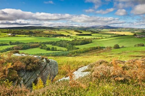 Cheviot Hills, Northumberland Cheviot Hills, Basel, Awe Inspiring, Road Trips, Madagascar, Wales, Golf Courses, Scotland, New Zealand