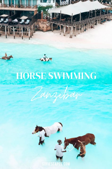 Zanzibar Packing List, Things To Do In Zanzibar, Zanzibar Snorkeling, Zanzibar Photo Ideas, African Islands, Zanzibar Outfit Ideas, Zanzibar Aesthetic, Travel Zanzibar, Horse Swimming