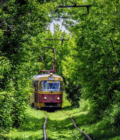 Yekaterinburg Russia, New Urbanism, Plantas Bonsai, Abandoned Train, Scenic Railroads, Train Pictures, Aesthetic Japan, Train Journey, Fantasy Places