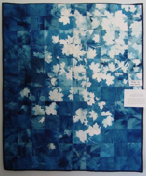 Blanket, Cyanotype. Leaves Quilt, Cheap Wall Art, Sun Prints, Quilt Modernen, Ivy House, John Muir, Art Plastique, Fabric Art, Quilt Inspiration