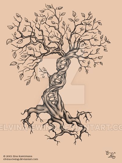 ✿ Tattoos ✿ Celtic ✿ Norse ✿ Tattoo DNA Tree with leaves by Elvina-Ewing Tree Tattoo Chest, Dna Tree, Tree With Leaves, Dna Tattoo, Oak Tree Tattoo, Tattoo Tree, Family Tree Tattoo, Worlds Best Tattoos, Tattoo Trend