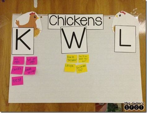 I start out my Chicken Life Cycle with a KWL chart! Instructional Activities, Chicken Life Cycle, Kwl Chart, Chicken Life, Creative Curriculum, Preschool Class, Reading Intervention, Anchor Chart, Informational Text