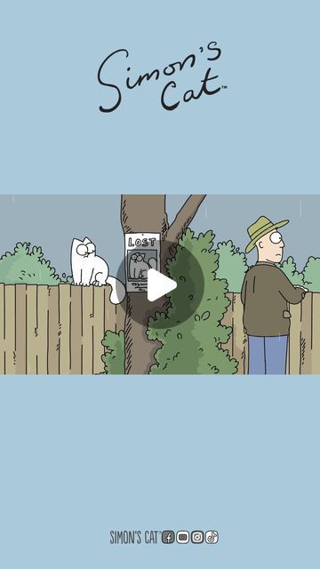 Simon's Cat on Instagram: "Searching for your kitty...😞🤞" Simons Cat Video, Simons Cat, Cat Gif, Kindergarten, Dog Cat, Kitty, Dogs, On Instagram, Instagram