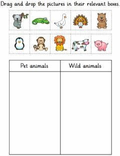 Pet And Wild Animals Sorting Activities, Pet Animals Worksheet, Plant Worksheet, Animals Worksheet, Tame Animals, Plants Worksheets, How Plants Grow, Winter Vacations, Animal Worksheets