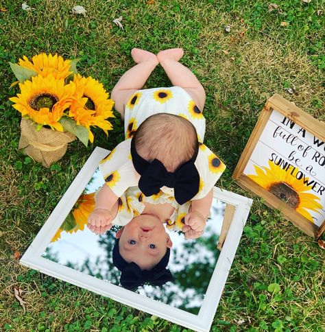 You Are My Sunshine Photo Shoot, August Baby Photoshoot Ideas, August Milestone Picture Ideas, 6 Month Photoshoot, Vom Avea Un Copil, 8 Month Baby, 5 Month Baby, 2 Month Old Baby, August Baby