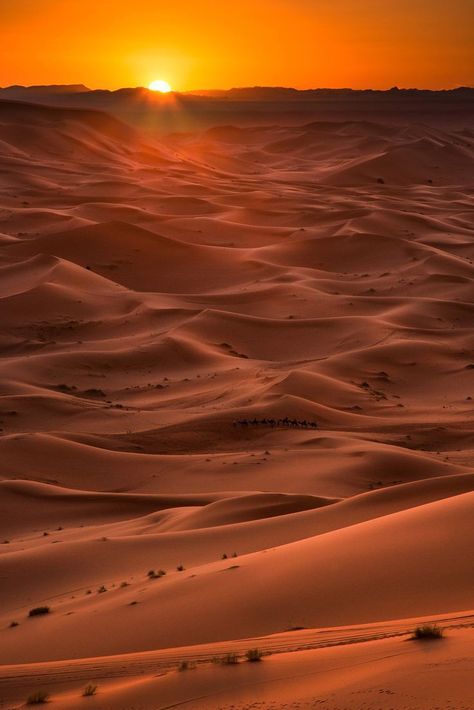 The sun setting over the Sahara desert in Morocco. Aesthetic Image, Seni Arab, Desert Aesthetic, Sun Aesthetic, Desert Photography, Desert Dream, Desert Sun, Image Nature, Desert Vibes