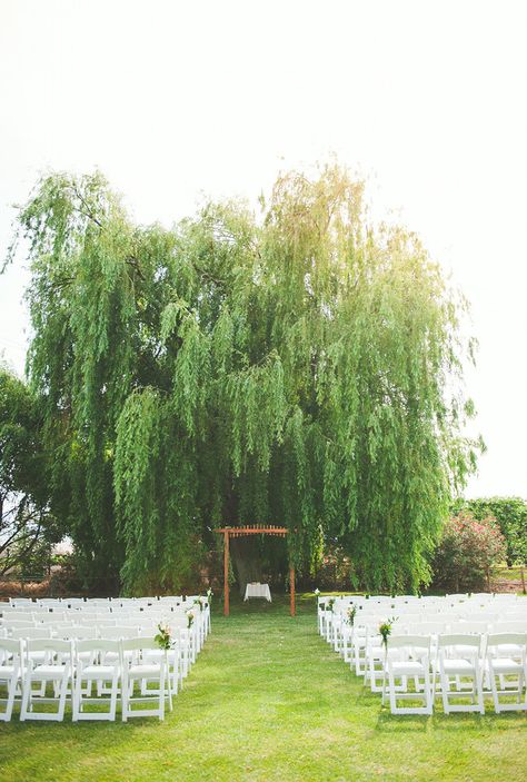 It was like this Willow tree was made to be married under :] perfectly shaped. Hand made wedding arch by my father <3 Married Under A Willow Tree, Married In Front Of Tree, Wedding Ceremony Under Willow Tree, Weeping Willow Tree Wedding Ceremony, Wedding Under Weeping Willow Tree, Wedding By A Tree, Mini Wedding Ceremony, Weeping Willow Wedding Decor, Willow Tree Wedding Arch